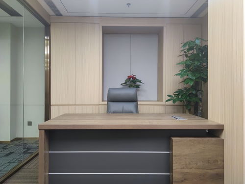 國貿cbd 國貿三期 地標建筑 全新裝修帶家具 對電梯